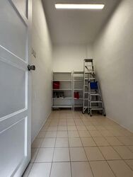 Botanic Gardens View (D10), Apartment #566128321